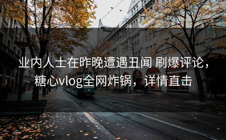 业内人士在昨晚遭遇丑闻 刷爆评论，糖心vlog全网炸锅，详情直击