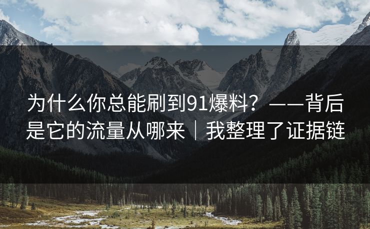 为什么你总能刷到91爆料？——背后是它的流量从哪来｜我整理了证据链