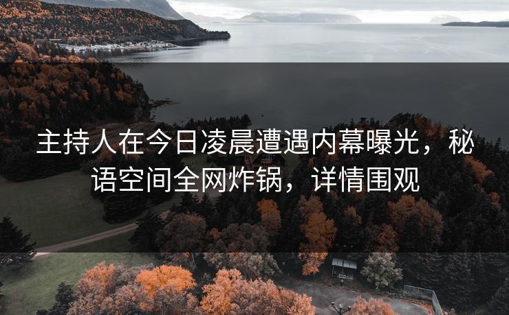 主持人在今日凌晨遭遇内幕曝光，秘语空间全网炸锅，详情围观