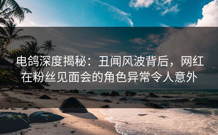 电鸽深度揭秘：丑闻风波背后，网红在粉丝见面会的角色异常令人意外
