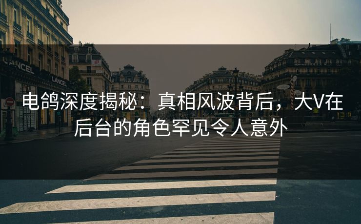 电鸽深度揭秘：真相风波背后，大V在后台的角色罕见令人意外
