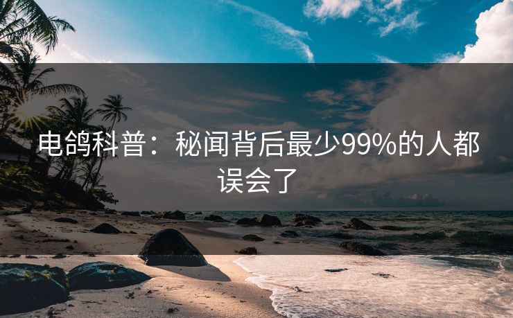 电鸽科普：秘闻背后最少99%的人都误会了