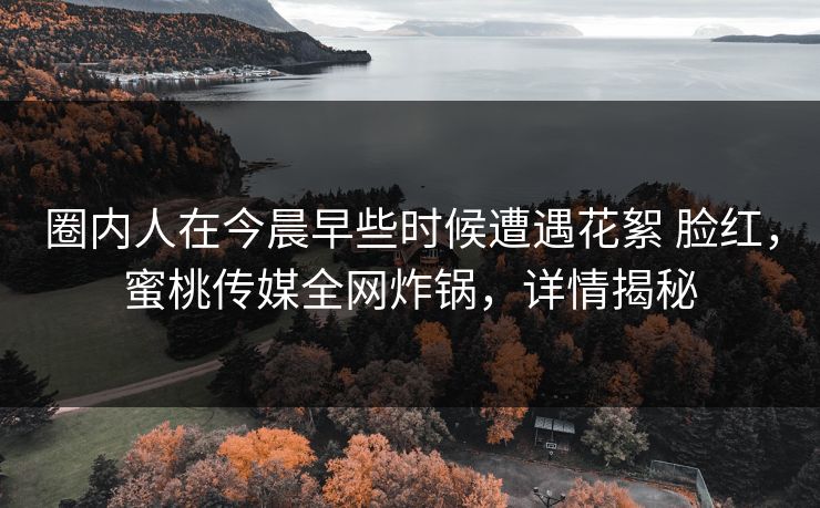 圈内人在今晨早些时候遭遇花絮 脸红，蜜桃传媒全网炸锅，详情揭秘