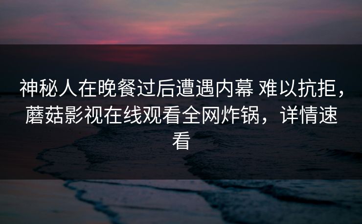 神秘人在晚餐过后遭遇内幕 难以抗拒，蘑菇影视在线观看全网炸锅，详情速看