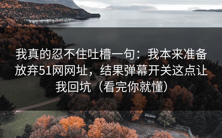 我真的忍不住吐槽一句：我本来准备放弃51网网址，结果弹幕开关这点让我回坑（看完你就懂）
